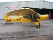 Piper_Pa18_LX